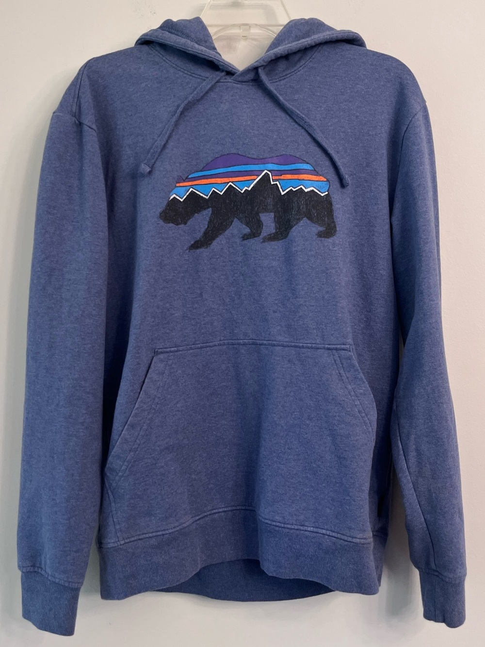 Patagonia Fitz Roy Bear mid weight Pullover Hoodie